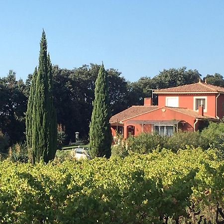 Domaine Des Lavarines Morieres-les-Avignon ภายนอก รูปภาพ